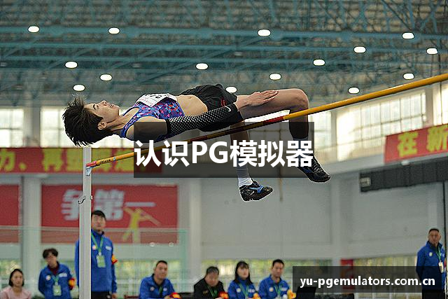 认识PG模拟器